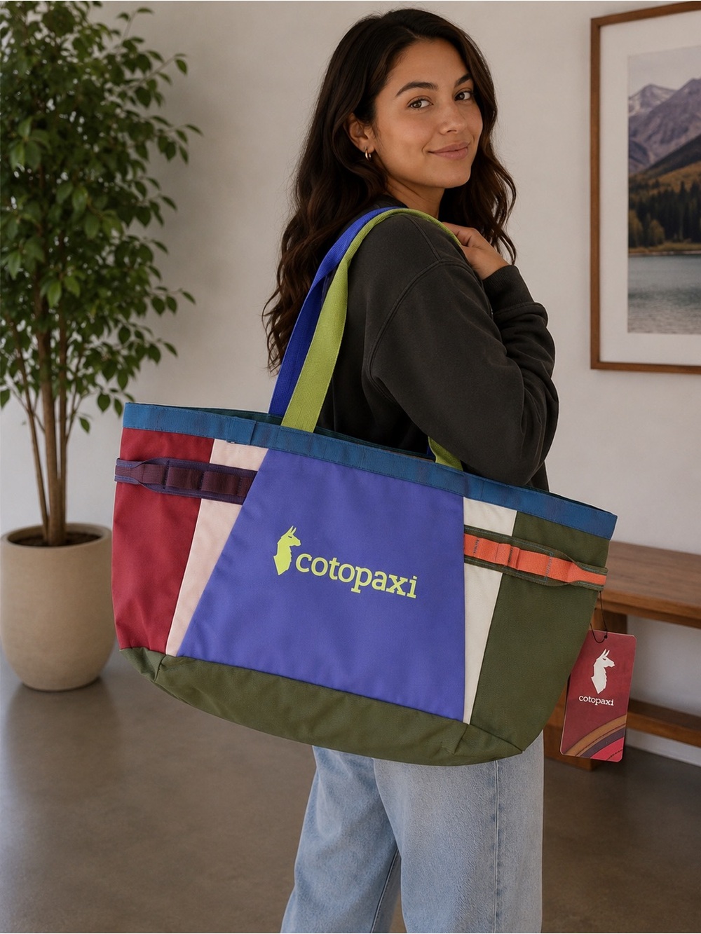 cotopaxi Del Dia Multicolor colorblock Tote bag nwt